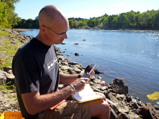 tagging mussels